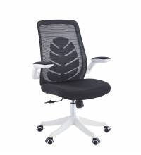 Кресло руководителя Chairman CH565 белый пластик, черный